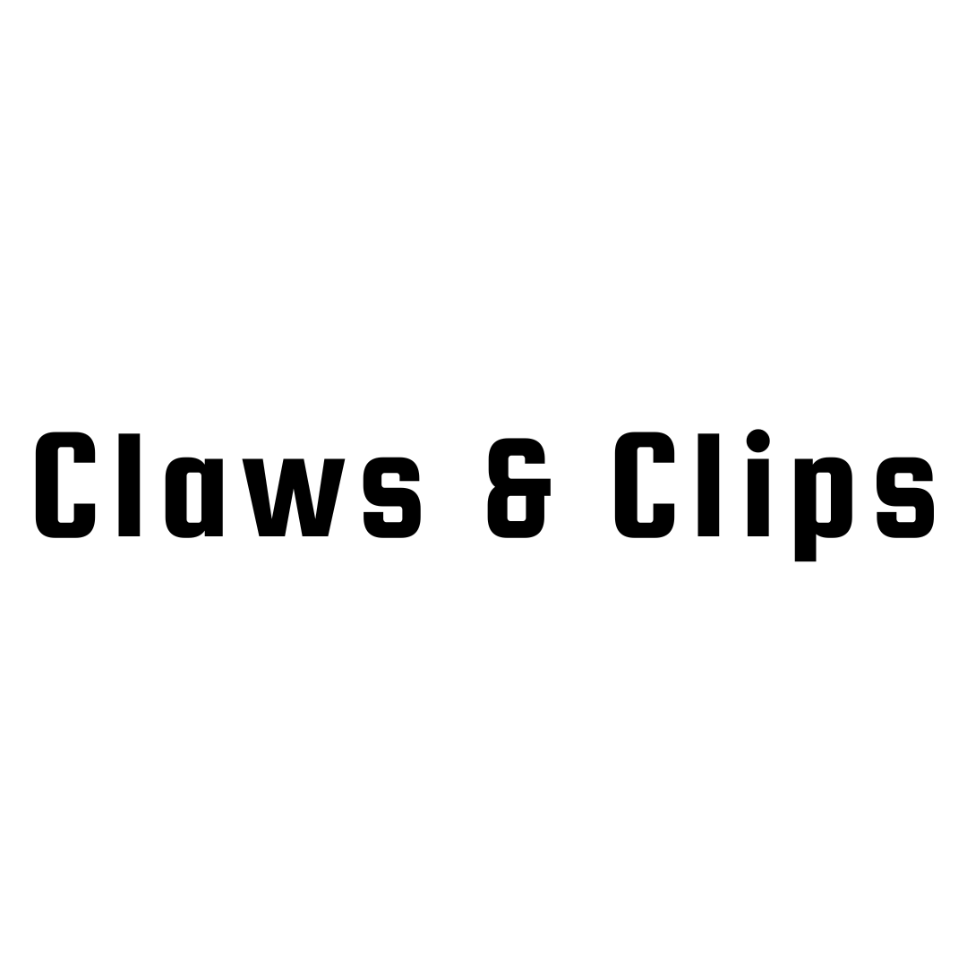 Set of fashion hair clips for women including brown swirl, cream flower, and black rectangular designs